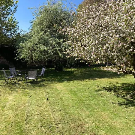 The Ducks - Gorgeous Upside Down Cottage - Norfolk Mileham Exterior photo