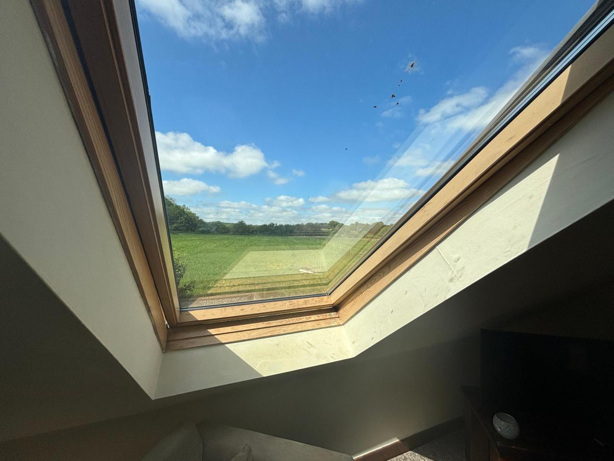 The Ducks - Gorgeous Upside Down - Norfolk Apartment Mileham